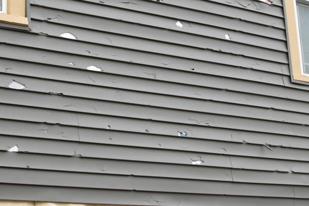 Best Siding for New Construction  in Tiltonsville, OH
